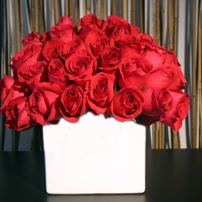 Red Rosa Cube. 48 stems
