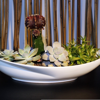 Terrarium long white