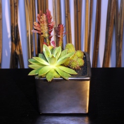 Terrarium cube Matalic